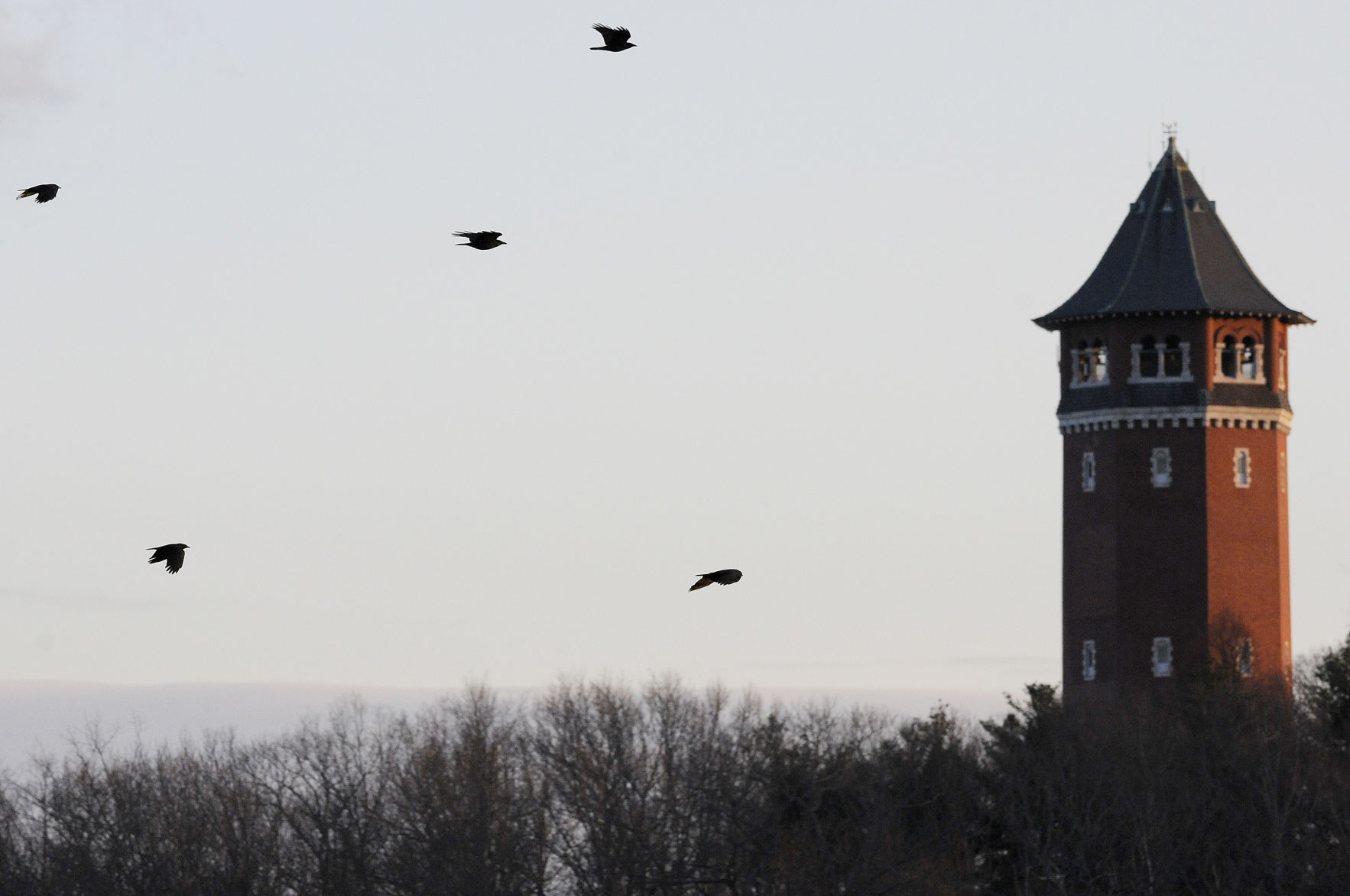 180206_et_tje_crows_01.JPG